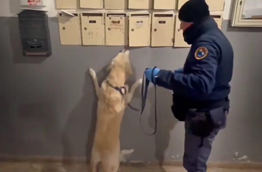  Mafia e traffico di droga, 22 arresti a Siracusa. Tutti i nomi