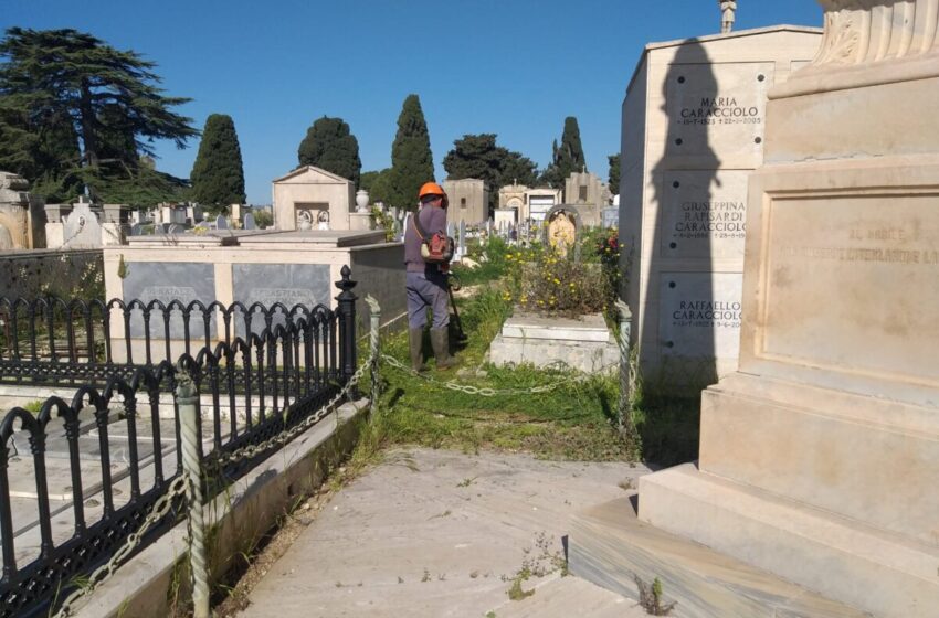 Sepolture invase dalle erbacce, disposta scerbatura urgente. Si cerca soluzione stabile
