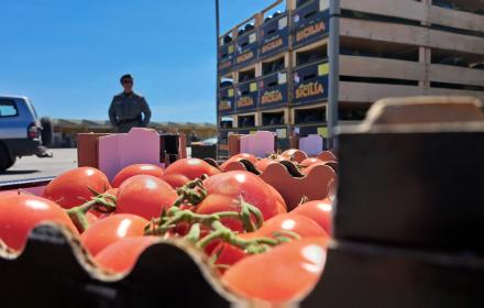 Donate al Banco alimentare di Siracusa 16 tonnellate di ortaggi sequestrati dal Noras