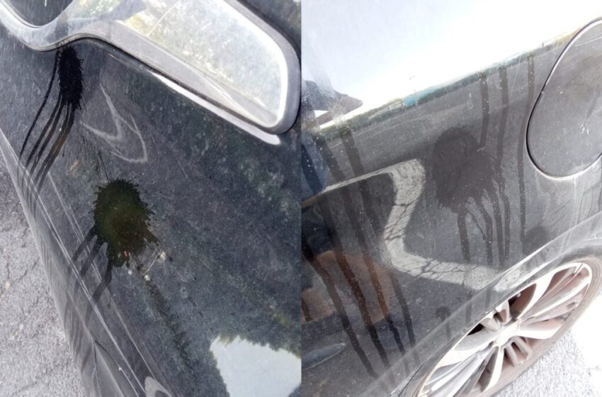 Uova contro l’auto di Armando Caravini, presidente di Arcigay Siracusa