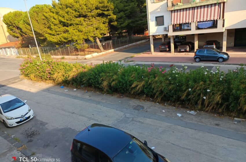  Un “taglio” alle aiuole spartitraffico? FdI: “Assurdo, questa è approssimazione”