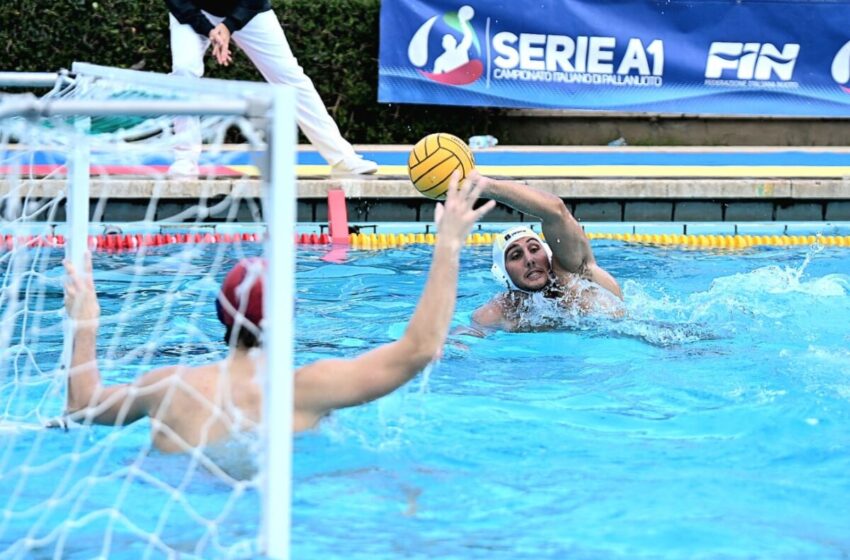  Pallanuoto, parte una stagione piena di novità. L’Ortigia debutta alle 11 con Iren Genova