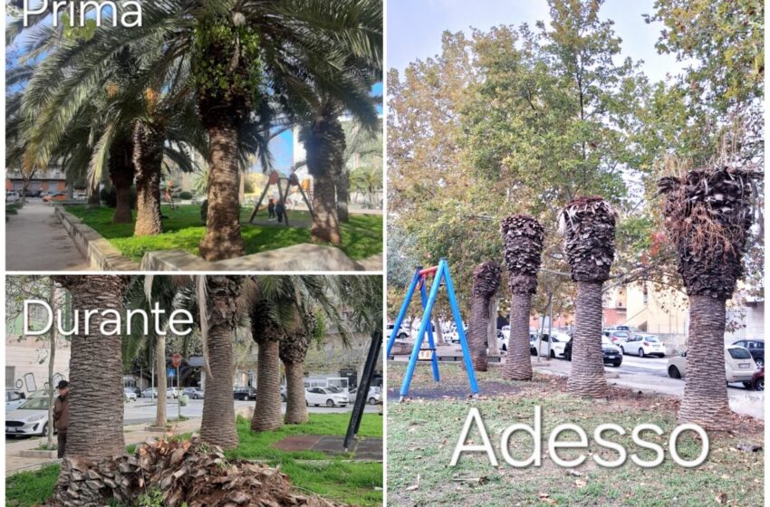  Stanziate risorse aggiuntive per la cura delle aree verdi, scontro su costi e risultati