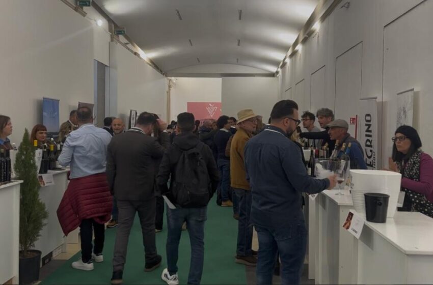  Oltre ottanta produttori coinvolti e boom di visitatori, Siracusa brinda con Vinacria 2025
