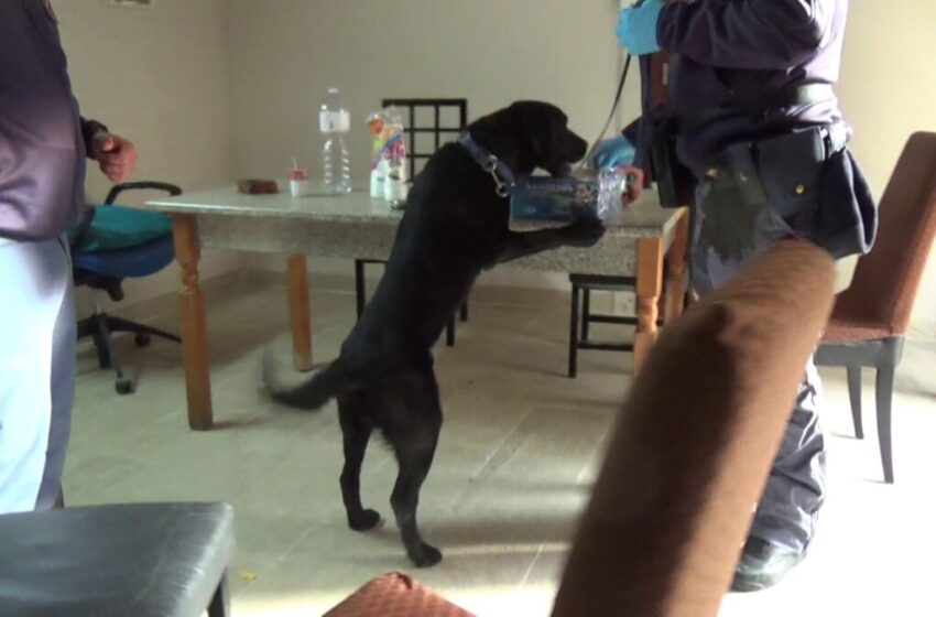  Operazione ad alto impatto a Pachino, Portopalo e Marzamemi: servizio interforze nella zona sud