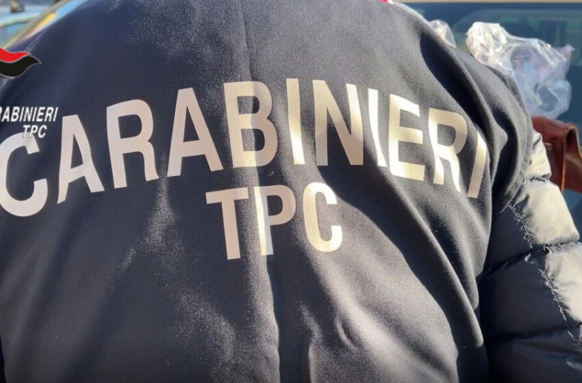  “Ghenos”, 45 misure cautelari per traffico di reperti archeologici tra Sicilia ed Europa