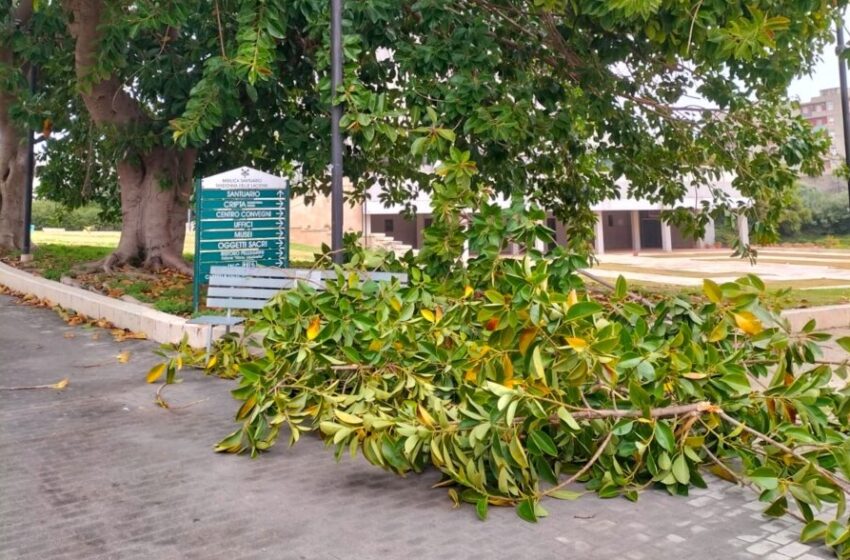  Santuario e parco, verifiche statiche dopo il ciclone: riapertura domani pomeriggio