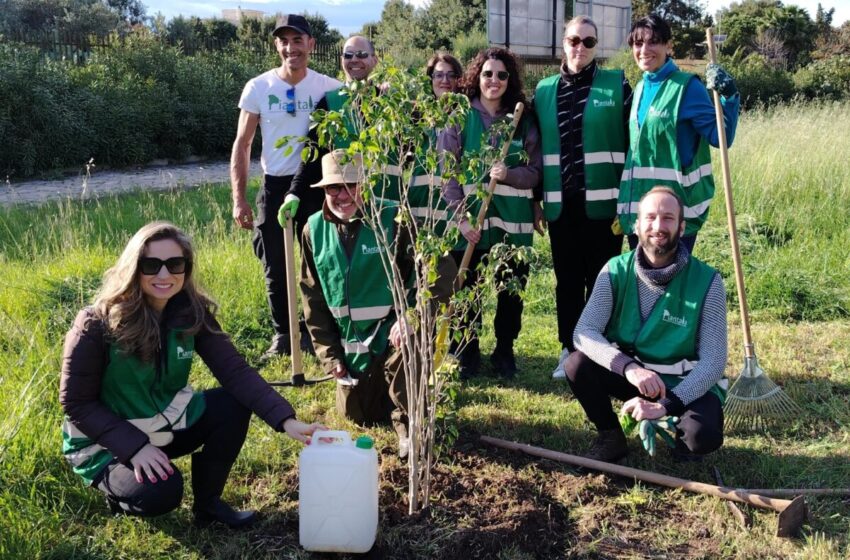  Nuovi Ficus al Parco Robinson: piantumati dai volontari dell’associazione “Piantala”