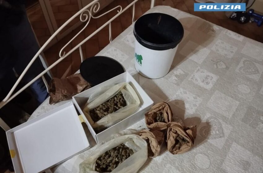  Droga  in un secchio e allaccio abusivo alla rete elettrica pubblica: arrestato 50enne