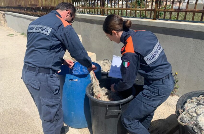  Reti irregolari, sanzionati pescatori: sequestrati 11 chili di seppie, sanzioni per 3.700 euro