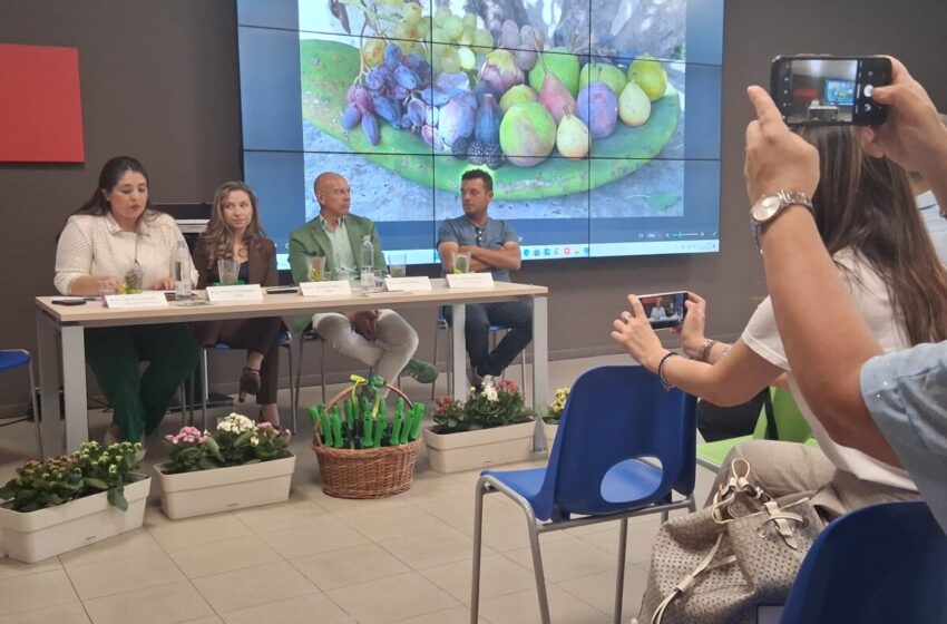  Balconi verdi per la città: Piantala Aiac lancia la riqualificazione diffusa degli spazi urbani