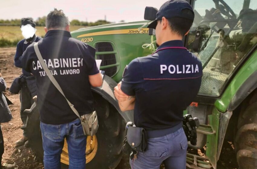  Controlli straordinari Interforze sul caporalato in città e provincia