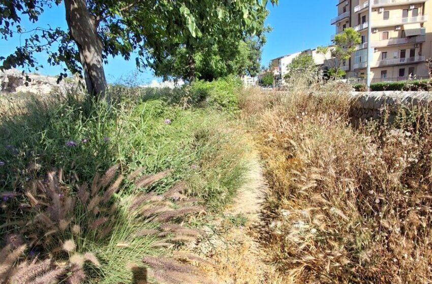  Poco verde pubblico e manutenzione carente, Gradenigo: “Urgente ripensare le regole del servizio”