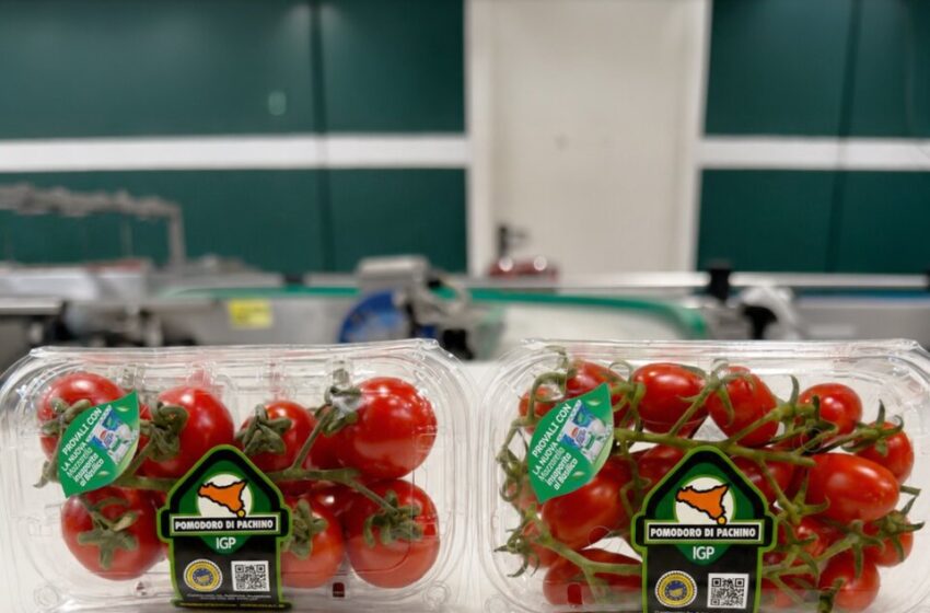  Pomodoro di Pachino e Mozzarella Galbani, partnership per promuovere due classici italiani