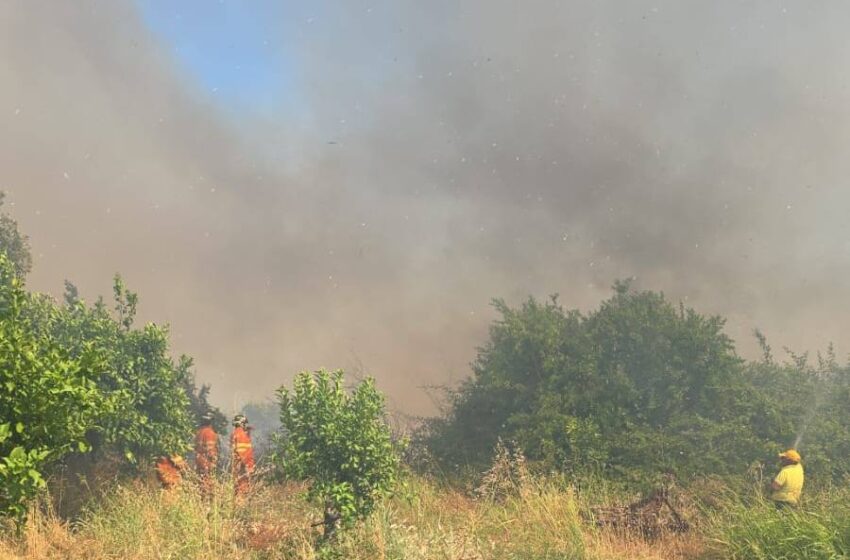  Allarme incendi a Siracusa, vento e sterpaglie: da Monasteri a Santa Panagia, lotta contro il fuoco