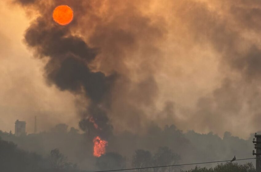  Incendio alla riserva Ciane-Saline, l’affondo di Europa Verde: “Ultimo atto di una gestione disastrosa”