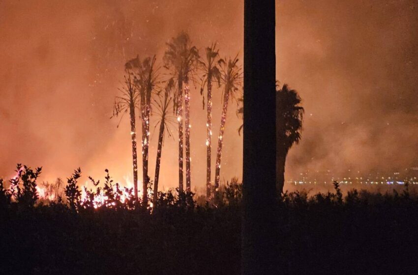  Inferno alle Saline, Nicita (Pd): “Interrogazione urgente al Governo e richiesta audizione Schifani”