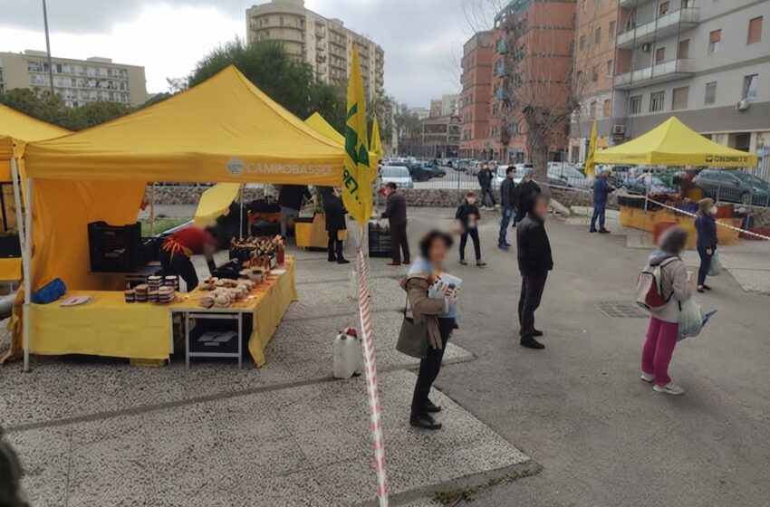 Via al Mercato Campagna Amica al coperto di Coldiretti: il sabato e il martedì in viale Tica