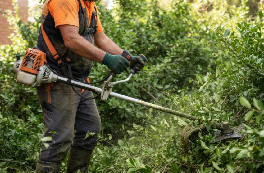  Siracusa. Verde nelle scuole, sbloccati i lavori di manutenzione: si punta a chiudere entro la prossima settimana