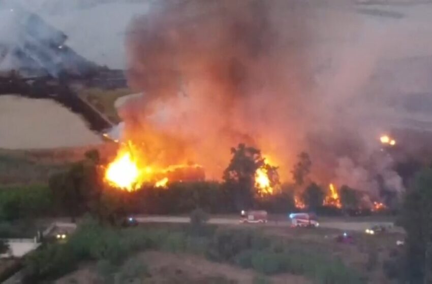  Incendio alle Saline, individuato il possibile punto di innesco: fiammata improvvisa, poi il disastro