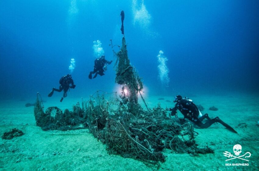  Maxi operazione con Sea Shepherd al Plemmirio: rimosse 1,4 tonnellate di reti fantasma