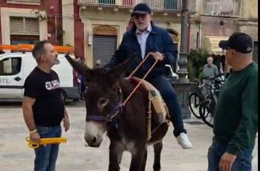 Caro-carburanti, in groppa ad un’asina raggiunge il Municipio: la provocazione del sindaco Gallo